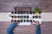 冬天来做什么赚钱,冬季创业好项目,全职工作也能有丰厚收入 冬天来做什么赚钱,冬季创业好项目,全职工作也能有丰厚收入