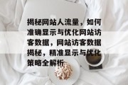 揭秘网站人流量，如何准确显示与优化网站访客数据，网站访客数据揭秘，精准显示与优化策略全解析