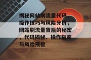 揭秘网站刷流量代码，操作技巧与风险分析，网站刷流量背后的秘密，代码揭秘、操作指南与风险预警