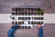 流量进不了学校网站，网络封锁背后的教育困境，网络封锁下的校园信息困境，流量阻隔背后的教育挑战