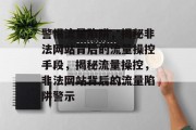 警惕流量陷阱，揭秘非法网站背后的流量操控手段，揭秘流量操控，非法网站背后的流量陷阱警示