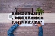 暴雨过后做什么赚钱?,如何利用暴雨后的商机寻找新的收入来源? 暴雨过后做什么赚钱?,如何利用暴雨后的商机寻找新的收入来源?