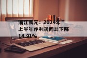 浙江震元:2024年上半年净利润同比下降14.91% 浙江震元:2024年上半年净利润同比下降14.91%
