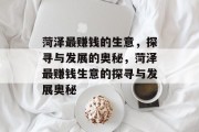菏泽最赚钱的生意,探寻与发展的奥秘,菏泽最赚钱生意的探寻与发展奥秘 菏泽最赚钱的生意,探寻与发展的奥秘,菏泽最赚钱生意的探寻与发展奥秘
