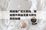 网络推广优化网站,揭秘提升网站流量与转化率的秘籍 网络推广优化网站,揭秘提升网站流量与转化率的秘籍