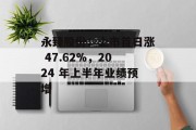 永臻股份:上市首日涨 47.62%,2024 年上半年业绩预增 永臻股份:上市首日涨 47.62%,2024 年上半年业绩预增
