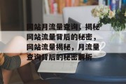 网站月流量查询，揭秘网站流量背后的秘密，网站流量揭秘，月流量查询背后的秘密解析