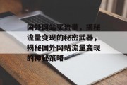 国外网站买流量，揭秘流量变现的秘密武器，揭秘国外网站流量变现的神秘策略