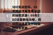 SEO实战密码，60天网站流量提高20倍的秘密武器！60天SEO流量翻倍攻略，揭秘网站流量提升20倍的秘密武器