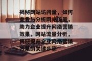 揭秘网站访问量，如何查看与分析网站流量，助力企业提升网络营销效果，网站流量分析，揭秘提升企业网络营销效果的关键步骤