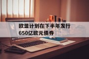 欧盟计划在下半年发行650亿欧元债券 欧盟计划在下半年发行650亿欧元债券