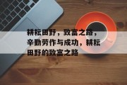 耕耘田野,致富之路,辛勤劳作与成功,耕耘田野的致富之路 耕耘田野,致富之路,辛勤劳作与成功,耕耘田野的致富之路