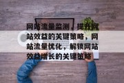 网站流量监测，提升网站效益的关键策略，网站流量优化，解锁网站效益增长的关键策略