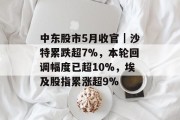 中东股市5月收官|沙特累跌超7%,本轮回调幅度已超10%,埃及股指累涨超9% 中东股市5月收官|沙特累跌超7%,本轮回调幅度已超10%,埃及股指累涨超9%