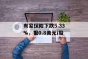 有家保险下跌5.33%,报0.8美元/股 有家保险下跌5.33%,报0.8美元/股