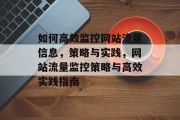 如何高效监控网站流量信息，策略与实践，网站流量监控策略与高效实践指南