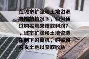 在城市扩张和土地资源有限的情况下,如何通过购买地来赚取利润?,城市扩张和土地资源限制下的商机,购买和开发土地以获取收益 在城市扩张和土地资源有限的情况下,如何通过购买地来赚取利润?,城市扩张和土地资源限制下的商机,购买和开发土地以获取收益