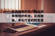 云南瑞丽的各行各业都有赚钱的机会,云南瑞丽,多元行业的财富盛宴