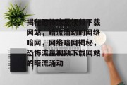 揭秘恐怖流量视频下载网站，暗流涌动的网络暗网，网络暗网揭秘，恐怖流量视频下载网站的暗流涌动