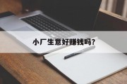 小厂生意好赚钱吗? 小厂生意好赚钱吗?