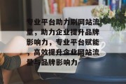 专业平台助力刷网站流量，助力企业提升品牌影响力，专业平台赋能，高效提升企业网站流量与品牌影响力