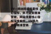 UV—揭秘网站流量核心指标，助力企业精准营销，网站流量核心指标深度解析，UV助力企业精准营销