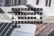 揭秘单日流量最高网站，流量背后的秘密与启示，揭秘流量巅峰，单日流量最高网站的秘密与启示