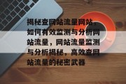揭秘查网站流量网站，如何有效监测与分析网站流量，网站流量监测与分析揭秘，高效查网站流量的秘密武器