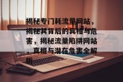 揭秘专门耗流量网站，揭秘其背后的真相与危害，揭秘流量陷阱网站，真相与潜在危害全解析