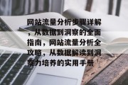 网站流量分析步骤详解，从数据到洞察的全面指南，网站流量分析全攻略，从数据解读到洞察力培养的实用手册
