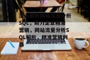深入解析网站流量分析SQL，助力企业精准营销，网站流量分析SQL解析，精准营销利器