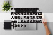 如何赚取网站流量费，揭秘网站流量变现的五大策略，网站流量变现攻略，五大策略揭秘高效盈利之道