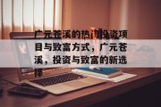 广元苍溪的热门投资项目与致富方式,广元苍溪,投资与致富的新选择 广元苍溪的热门投资项目与致富方式,广元苍溪,投资与致富的新选择