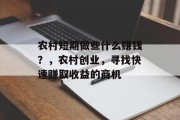 农村短期做些什么赚钱?,农村创业,寻找快速赚取收益的商机 农村短期做些什么赚钱?,农村创业,寻找快速赚取收益的商机