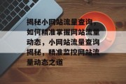 揭秘小网站流量查询，如何精准掌握网站流量动态，小网站流量查询揭秘，精准监控网站流量动态之道