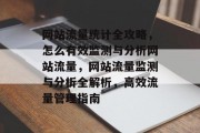 网站流量统计全攻略，怎么有效监测与分析网站流量，网站流量监测与分析全解析，高效流量管理指南