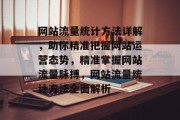 网站流量统计方法详解，助你精准把握网站运营态势，精准掌握网站流量脉搏，网站流量统计方法全面解析
