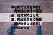 揭秘网站流量查询软件，助你轻松掌控网站流量，提升SEO优化效果，网站流量掌控秘籍，揭秘流量查询软件，优化SEO效果