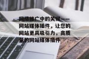 网络推广中的关键——网站媒体插件,让您的网站更具吸引力,高质量的网站媒体插件 网络推广中的关键——网站媒体插件,让您的网站更具吸引力,高质量的网站媒体插件