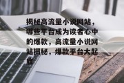 揭秘高流量小说网站，哪些平台成为读者心中的爆款，高流量小说网站揭秘，爆款平台大起底