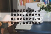 揭秘网站盈利之谜，流量几何时，收益触手可及？网站盈利之道，流量转化，收益近在咫尺