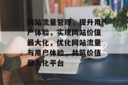 网站流量管理，提升用户体验，实现网站价值最大化，优化网站流量与用户体验，共筑价值最大化平台
