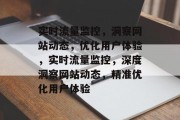 实时流量监控，洞察网站动态，优化用户体验，实时流量监控，深度洞察网站动态，精准优化用户体验