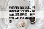 购买网站自然流量，利弊分析及行业趋势，网站自然流量购买，利弊权衡与行业未来趋势洞察