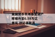 美国货币市场基金资产规模升至6.59万亿美元 创纪录新高 美国货币市场基金资产规模升至6.59万亿美元 创纪录新高