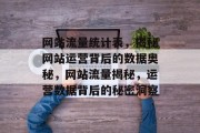 网站流量统计表，揭秘网站运营背后的数据奥秘，网站流量揭秘，运营数据背后的秘密洞察