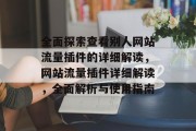 全面探索查看别人网站流量插件的详细解读，网站流量插件详细解读，全面解析与使用指南