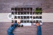 网站运营与开发，构建高效互联网平台的秘诀，高效互联网平台构建之道，揭秘网站运营与开发秘诀