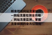 精准把握网站流量脉搏—网站流量检测全攻略，网站流量监测，掌握流量脉搏的全方位指南