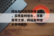 网站如何有效利用流量，实现盈利增长，流量变现之道，网站盈利增长策略解析